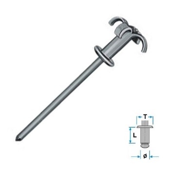 Rivetti graf
