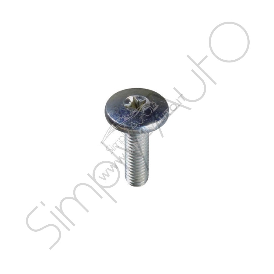 Vite metrica speciale, testa a croce M5x18 mm