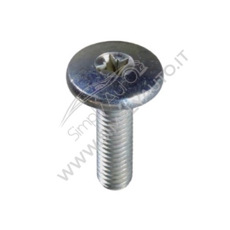 Vite metrica speciale, testa a croce M5x18 mm