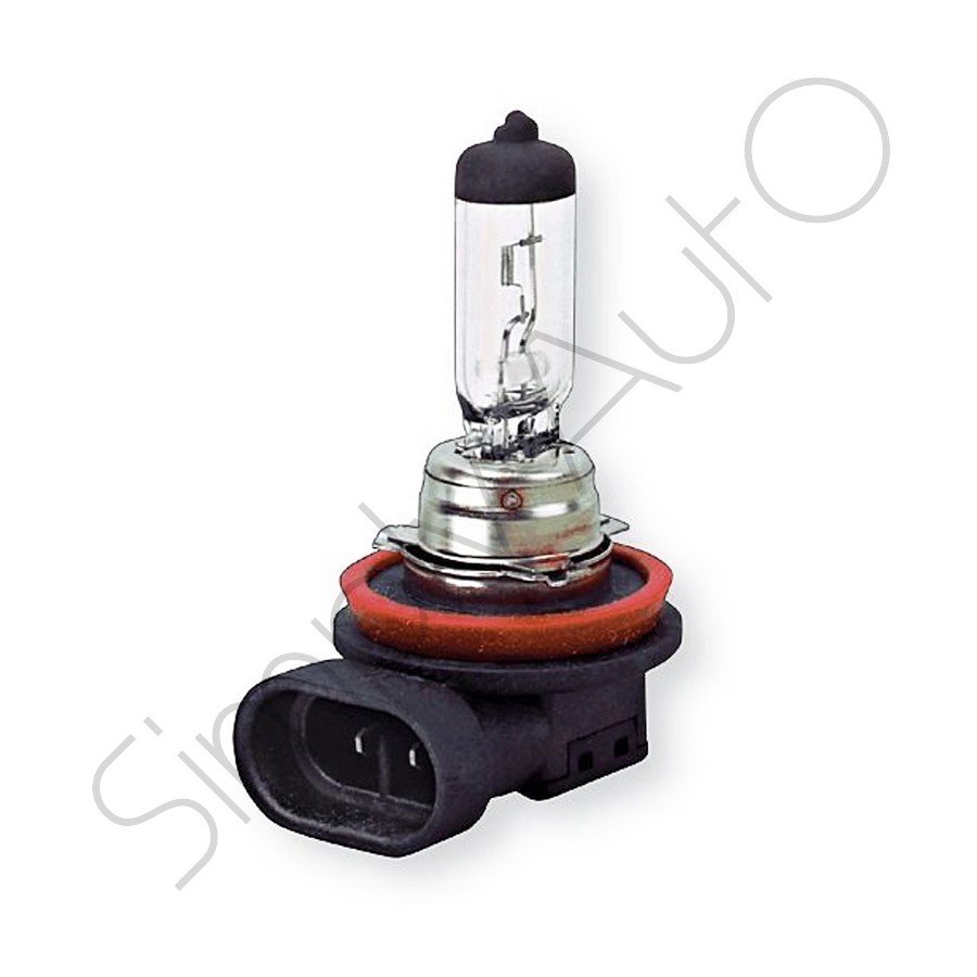Lampada alogena H11 a 1 luce 12 Volt - 55 Watt