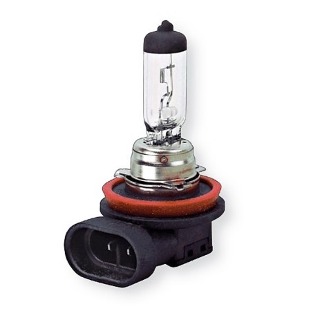 Lampada alogena H11 a 1 luce 12 Volt - 55 Watt