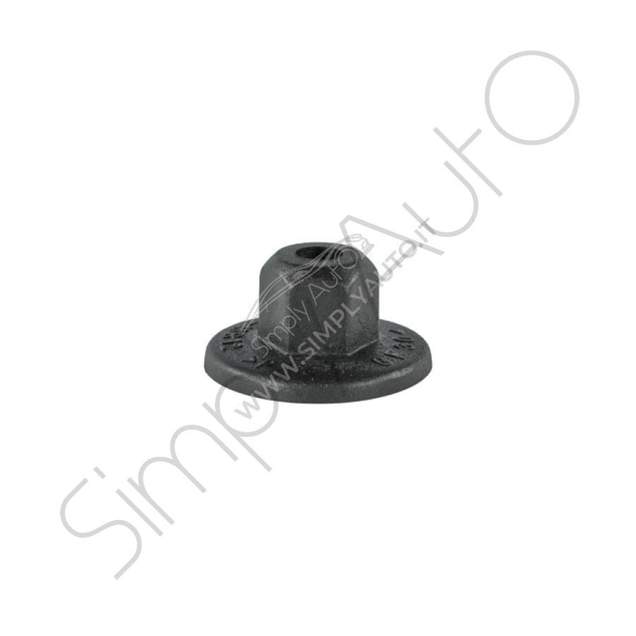 Dado in plastica foro Ø 4.50mm  T 21 mm
