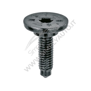 Vite metrica speciale, testa impronta torx, misure 6x18 mm zincata nera
