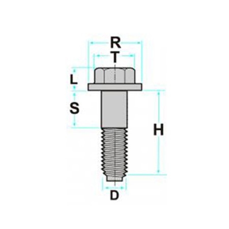 Vite metrica speciale, testa impronta torx, misure 6x18 mm zincata nera