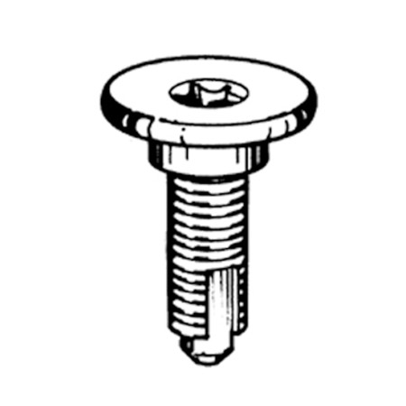 Vite metrica speciale, testa impronta torx, misure 6x18 mm zincata nera