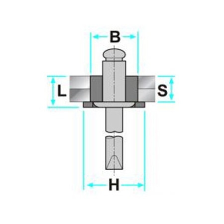 Rivetto specifico in alluminio completo di boccola in plastica per fissaggio motorino tergilunotto Peugeot e Citroen