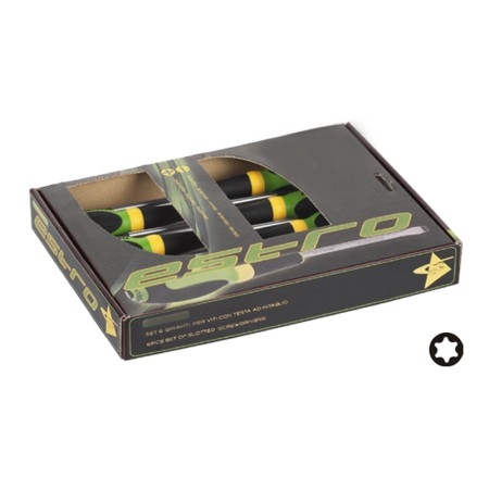 Set 6 giraviti per viti con impronta TX 