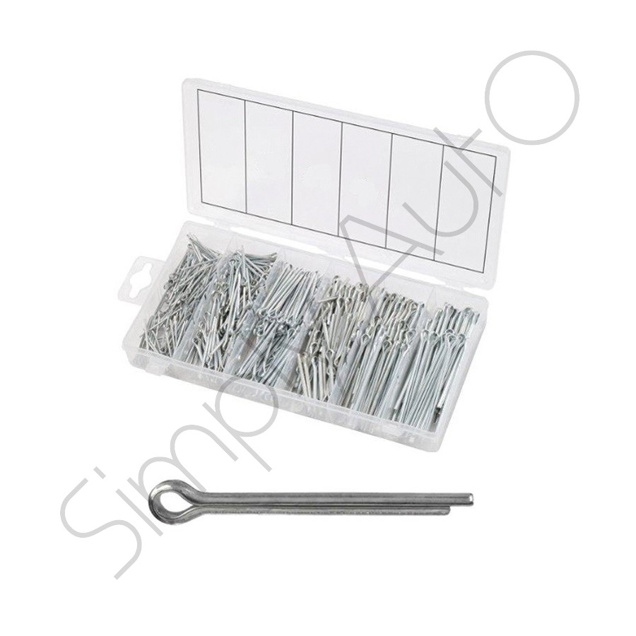 Assortimento 555 coppiglie